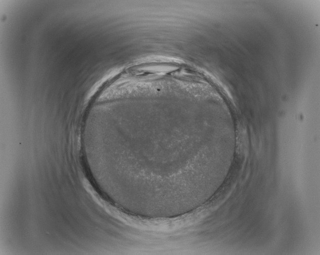 X0000081570015200701291226