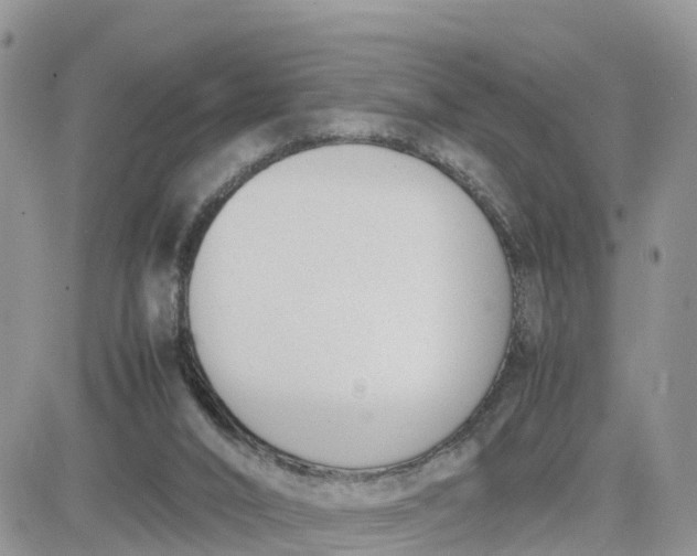 X0000081570016200701291226