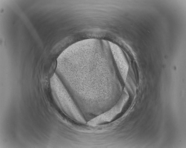 X0000081570017200701291226