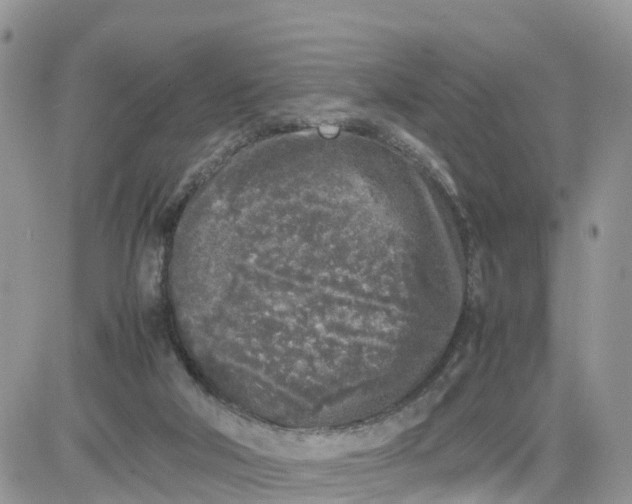 X0000081570018200701291226