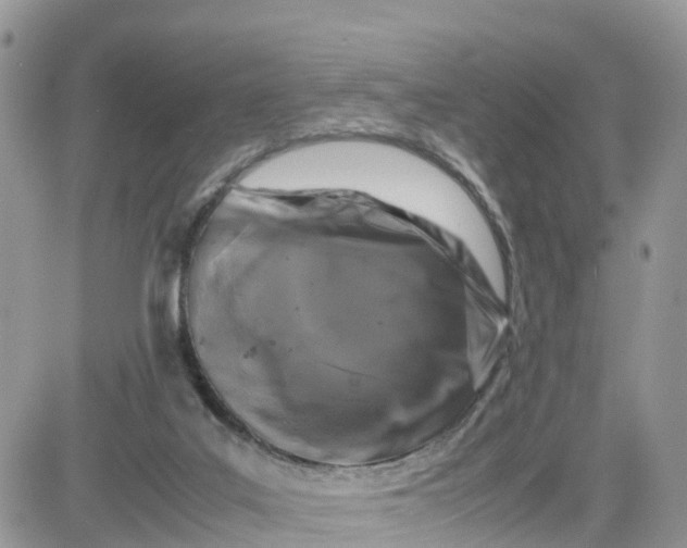 X0000081570019200701291226