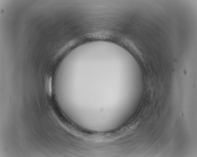 X0000081570020200701291226