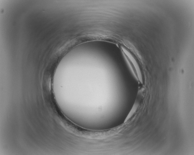 X0000081570021200701291226