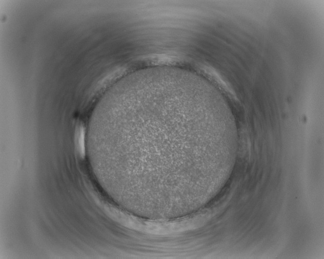 X0000081570022200701291226