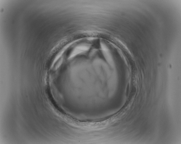 X0000081570023200701291226