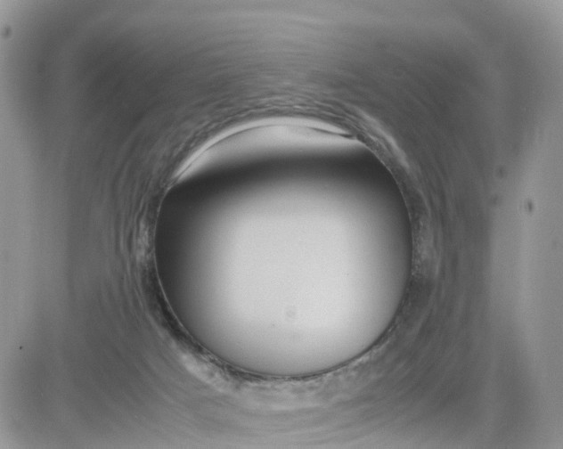 X0000081570025200701291226