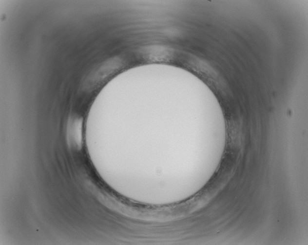 X0000081570028200701291226