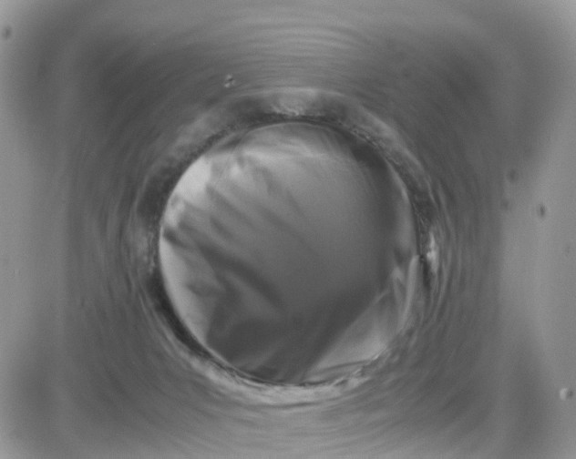 X0000081570031200701291226