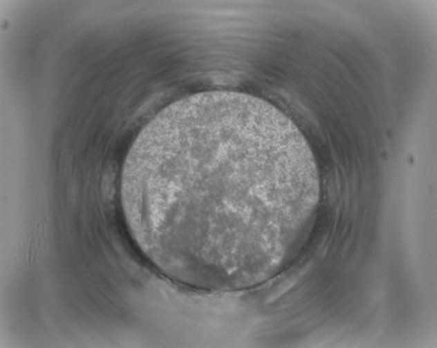 X0000081570032200701291226