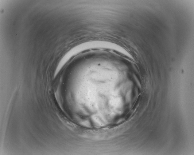 X0000081570033200701291226