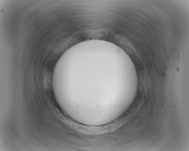 X0000081570034200701291226