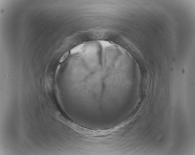 X0000081570035200701291226