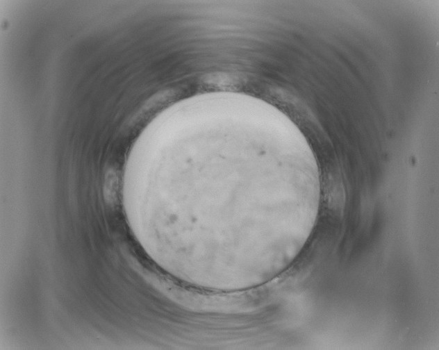 X0000081570036200701291226