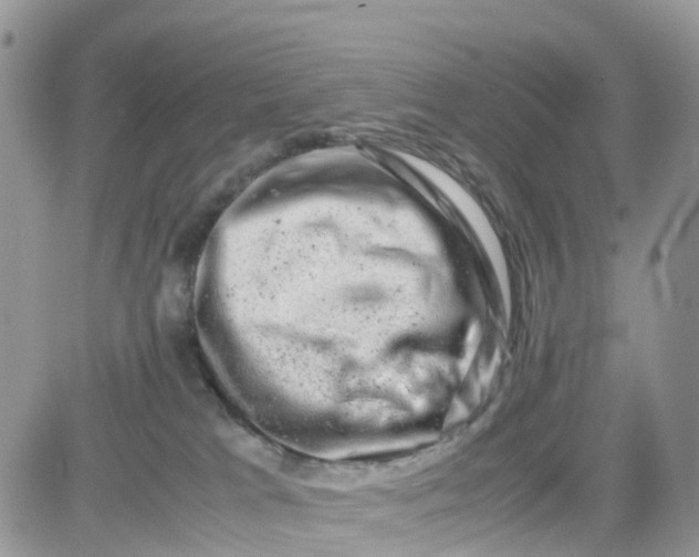 X0000081570037200701291226