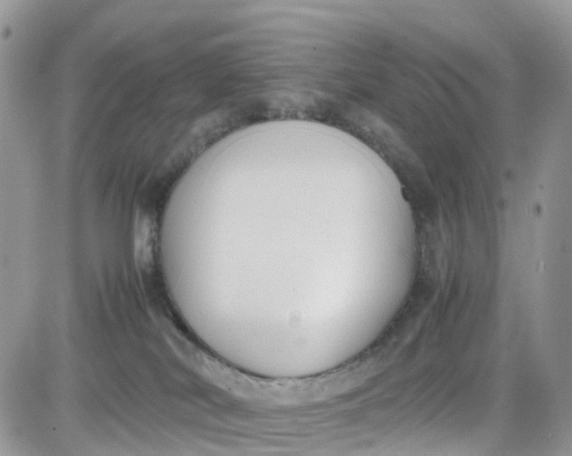 X0000081570038200701291226