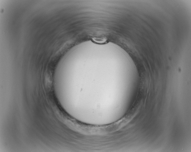 X0000081570040200701291226