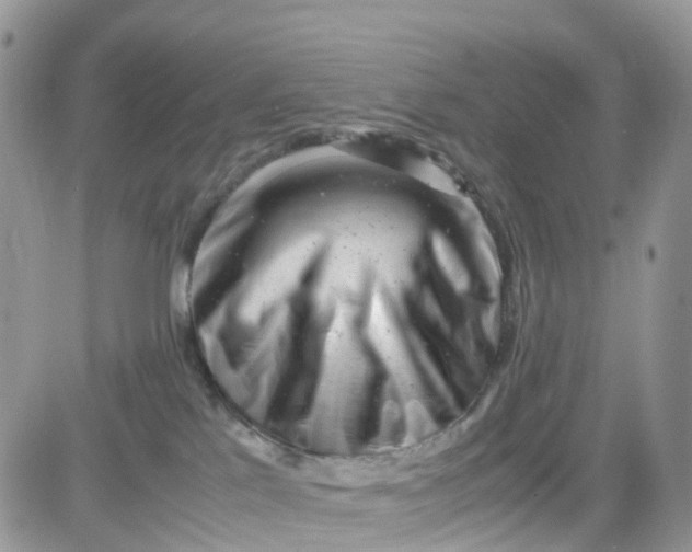 X0000081570041200701291226