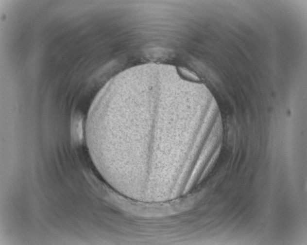 X0000081570042200701291226