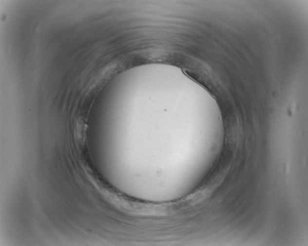 X0000081570044200701291226