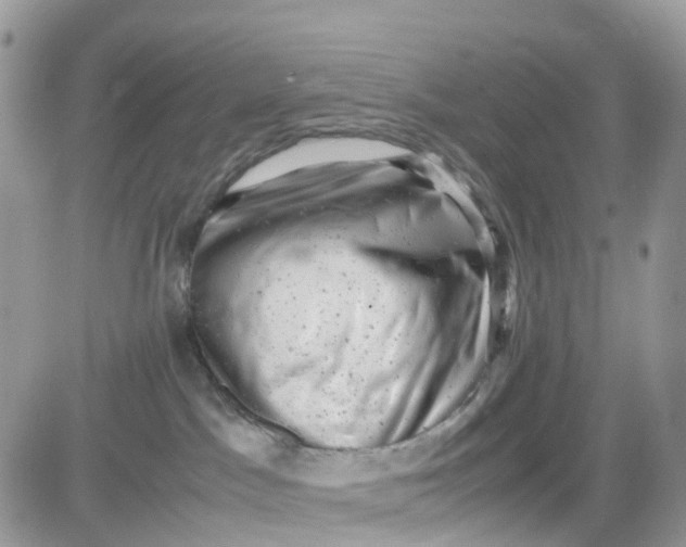 X0000081570045200701291226