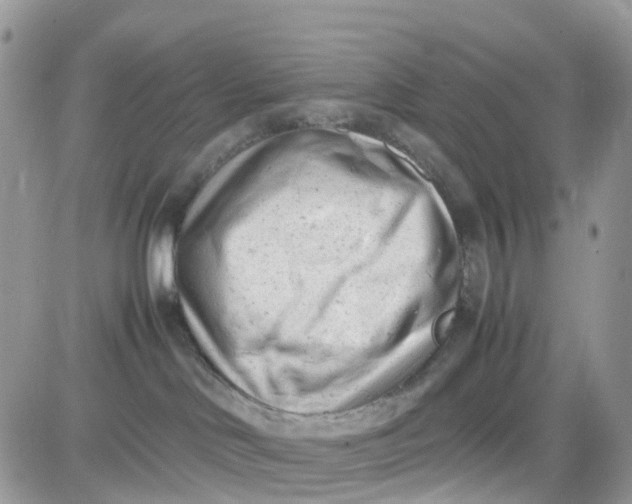 X0000081570046200701291226