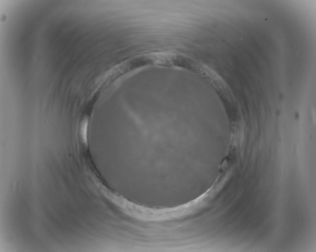 X0000081570047200701291226