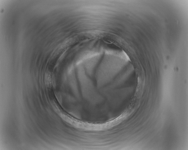 X0000081570048200701291226