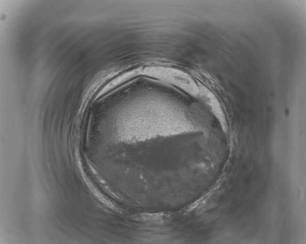 X0000081570049200701291225