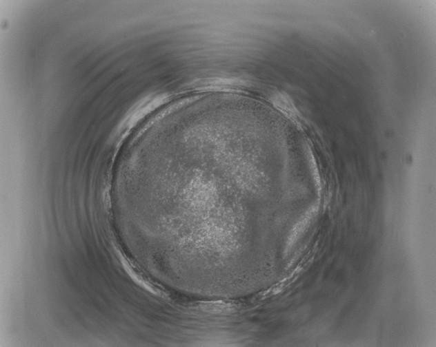 X0000081570050200701291225