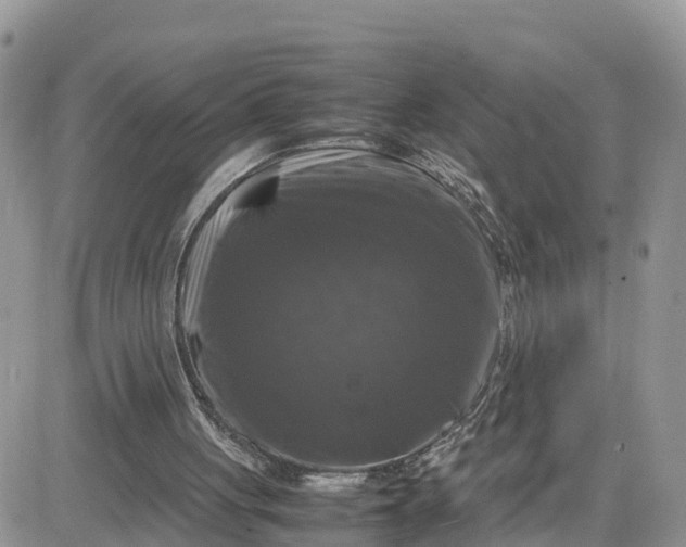 X0000081570051200701291225