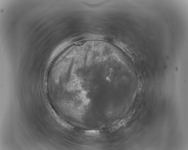 X0000081570053200701291225