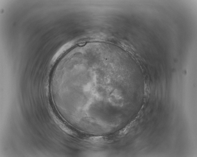 X0000081570054200701291225