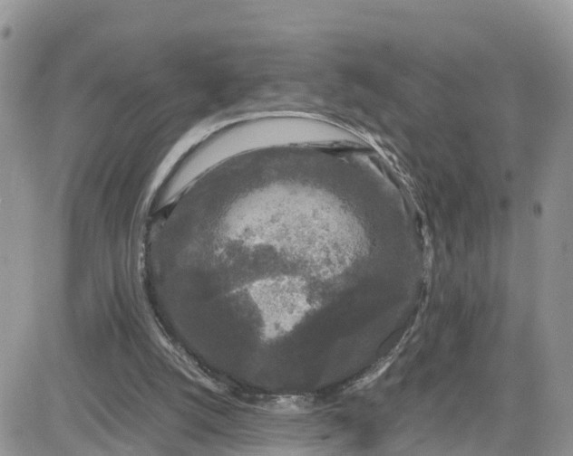 X0000081570056200701291225