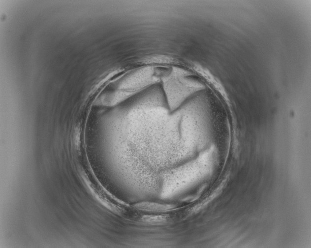 X0000081570057200701291225