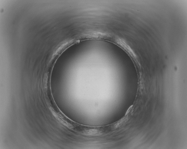 X0000081570058200701291225