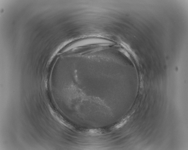 X0000081570060200701291225