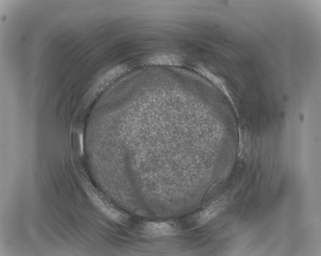 X0000081570061200701291225