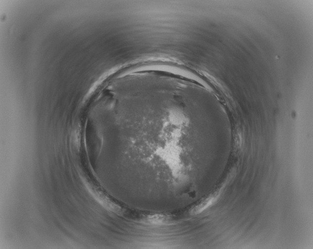 X0000081570064200701291225