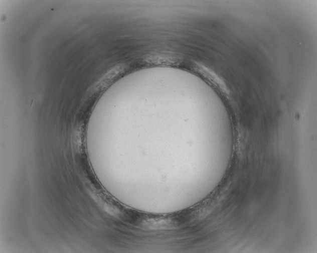 X0000081570065200701291225