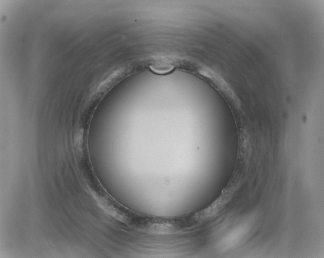 X0000081570066200701291225