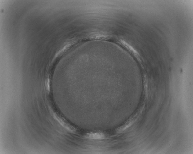 X0000081570067200701291225