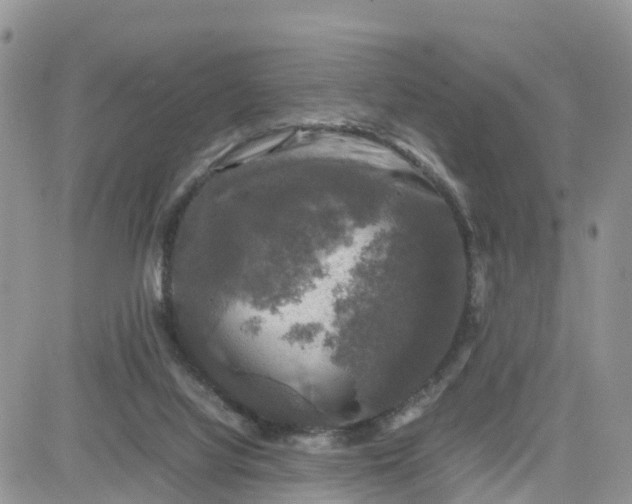 X0000081570068200701291225