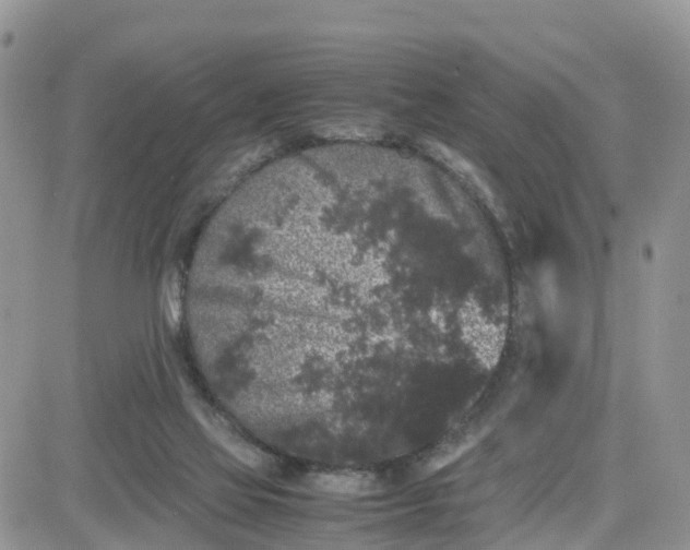 X0000081570069200701291225