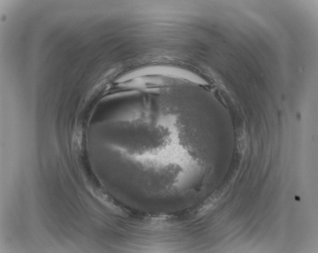 X0000081570072200701291225