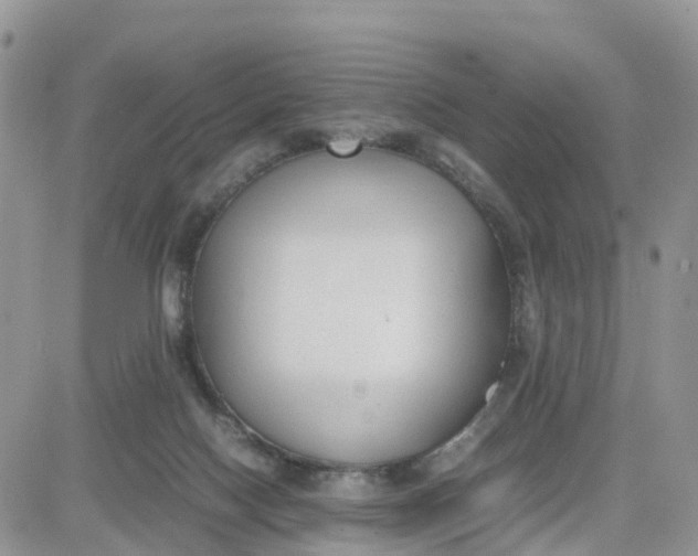 X0000081570074200701291225