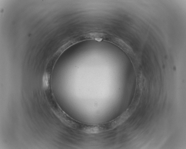 X0000081570075200701291225