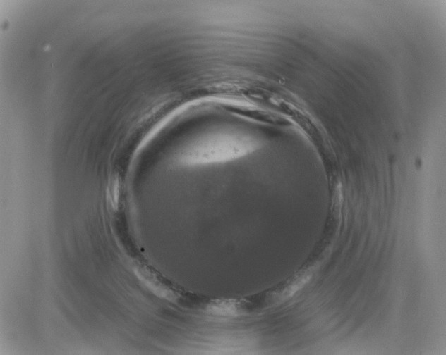 X0000081570076200701291225