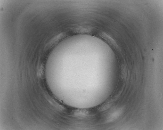 X0000081570077200701291225