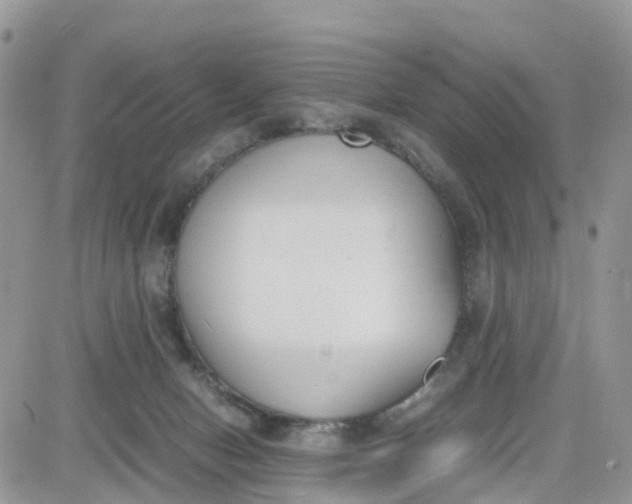 X0000081570078200701291225