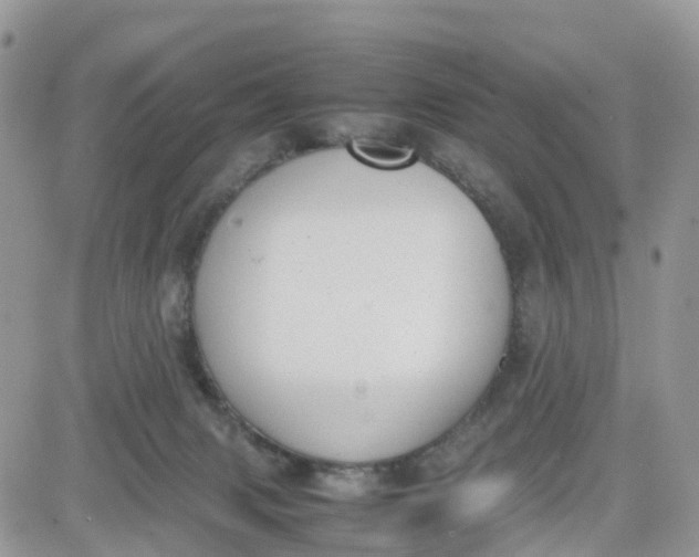 X0000081570079200701291225